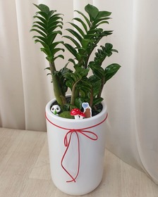보석금전수 테이블용