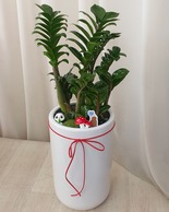 보석금전수 테이블용