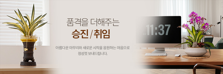 승진/취임